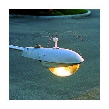 Network Daddi Long Legs 1,3m diameter