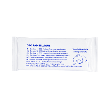Fly inn glueboard Tineola bissel/pellion