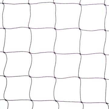 Bird Net