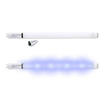 Retrofit LED tube (T8 450mm)